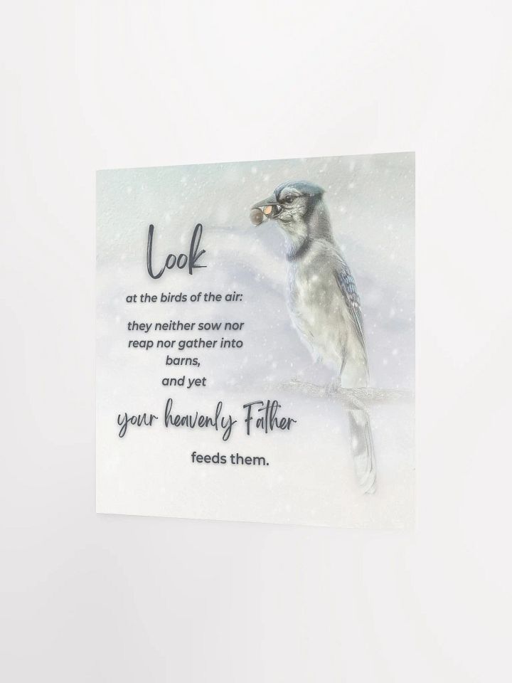 Birds Of The Air product image (6)