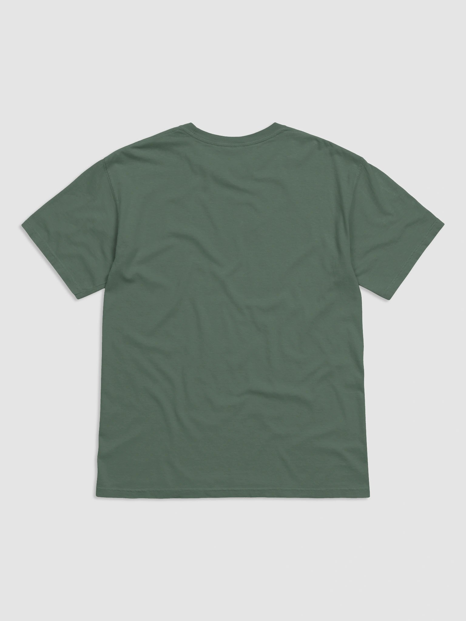 GOOSE & OTTER COMFORT COLORS T-SHIRT product image (21)