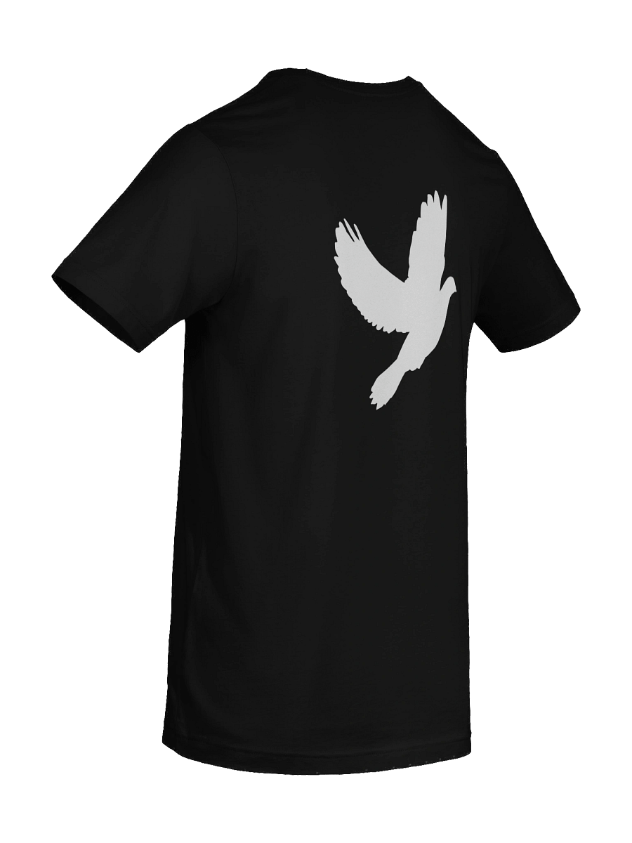 Woman of God Premium T-Shirt product image (10)