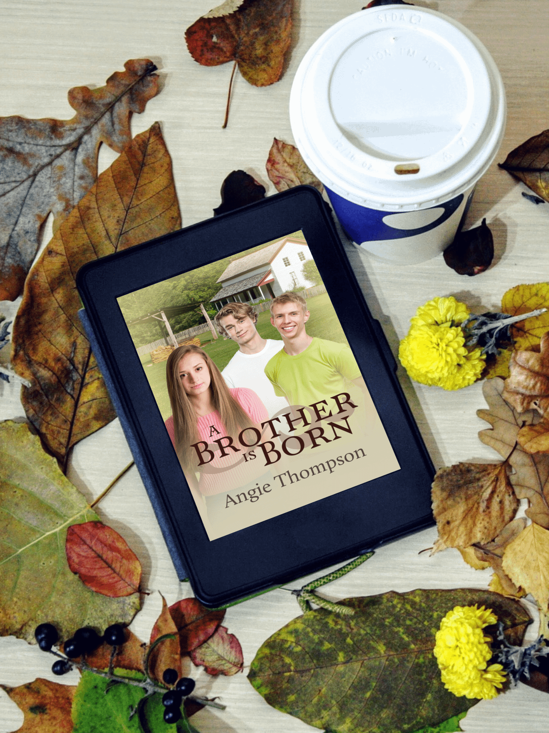 A Brother Is Born (Ebook) product image (3)