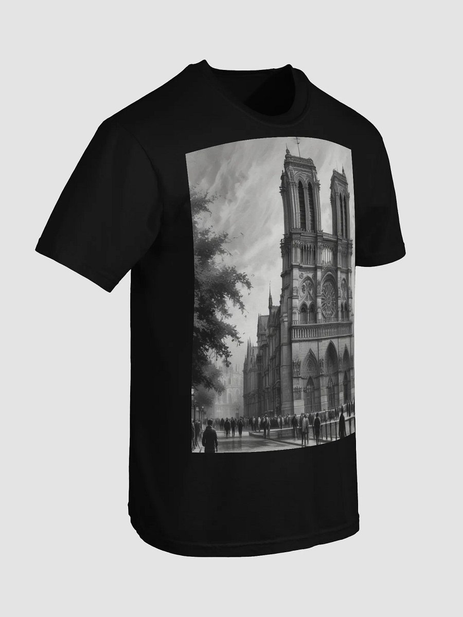 notre dame de paris product image (43)