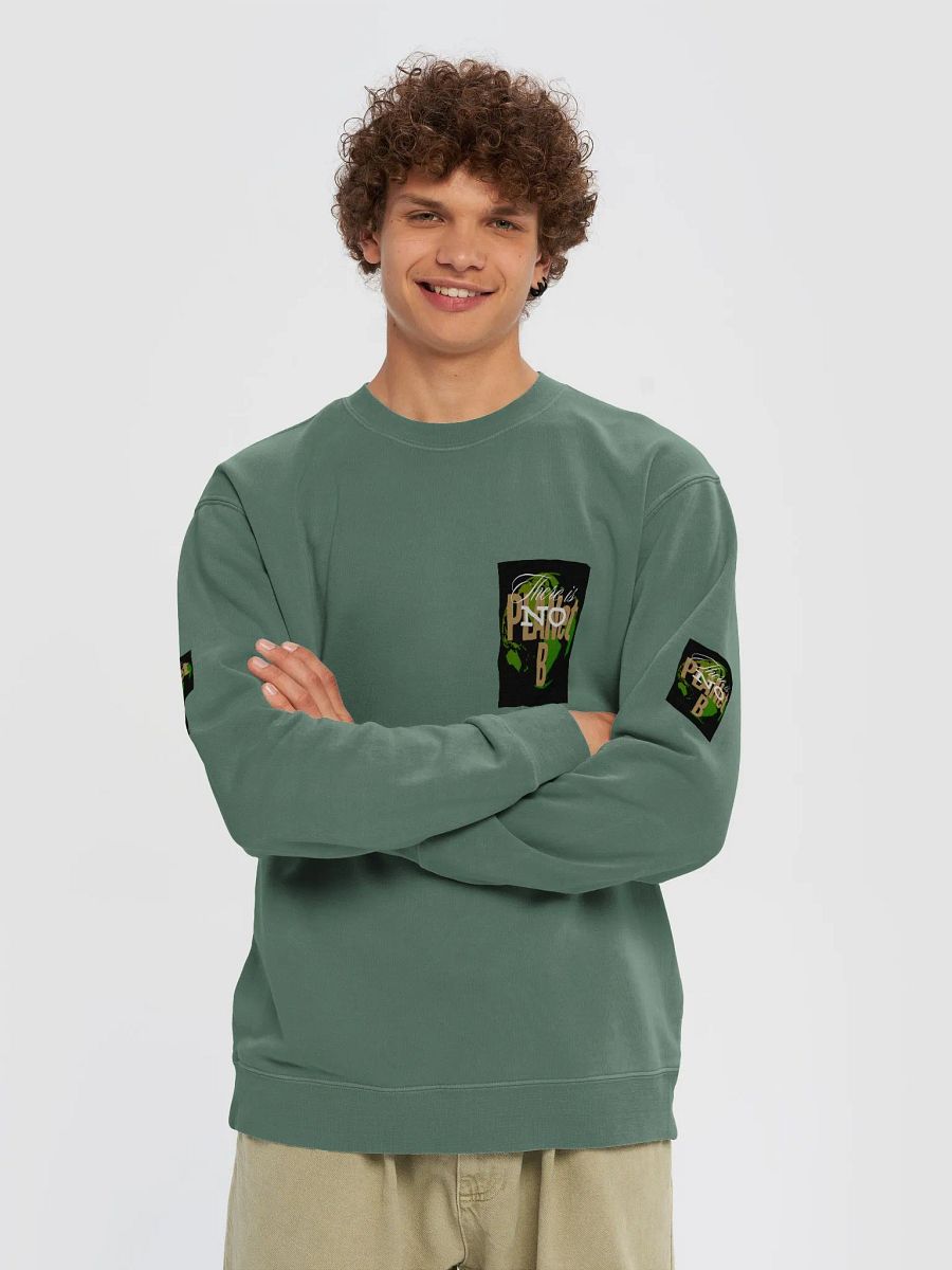 There is No PLANet B Unisex Pigment Dyed Sweatshirt – Wear the Change product image (5)