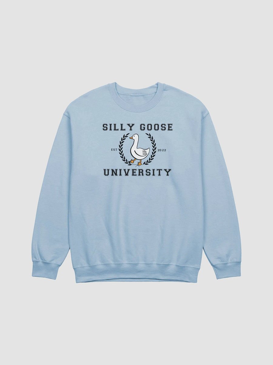 Silly Goose University product image (14)