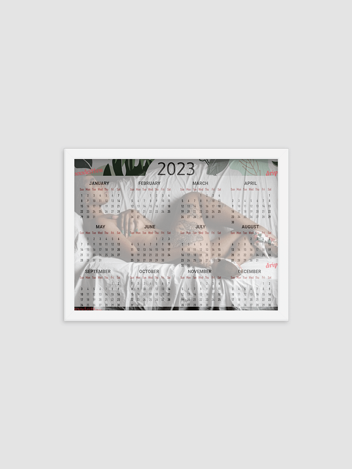 Framed High-Quality Matte Poster product image (1)