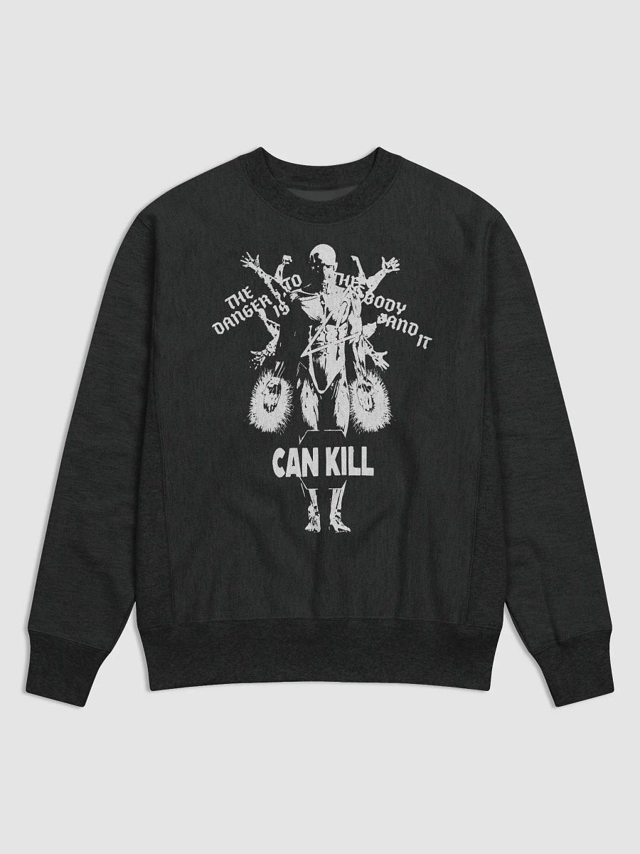 DANGER TO THE BODY (sweatshirt) product image (1)