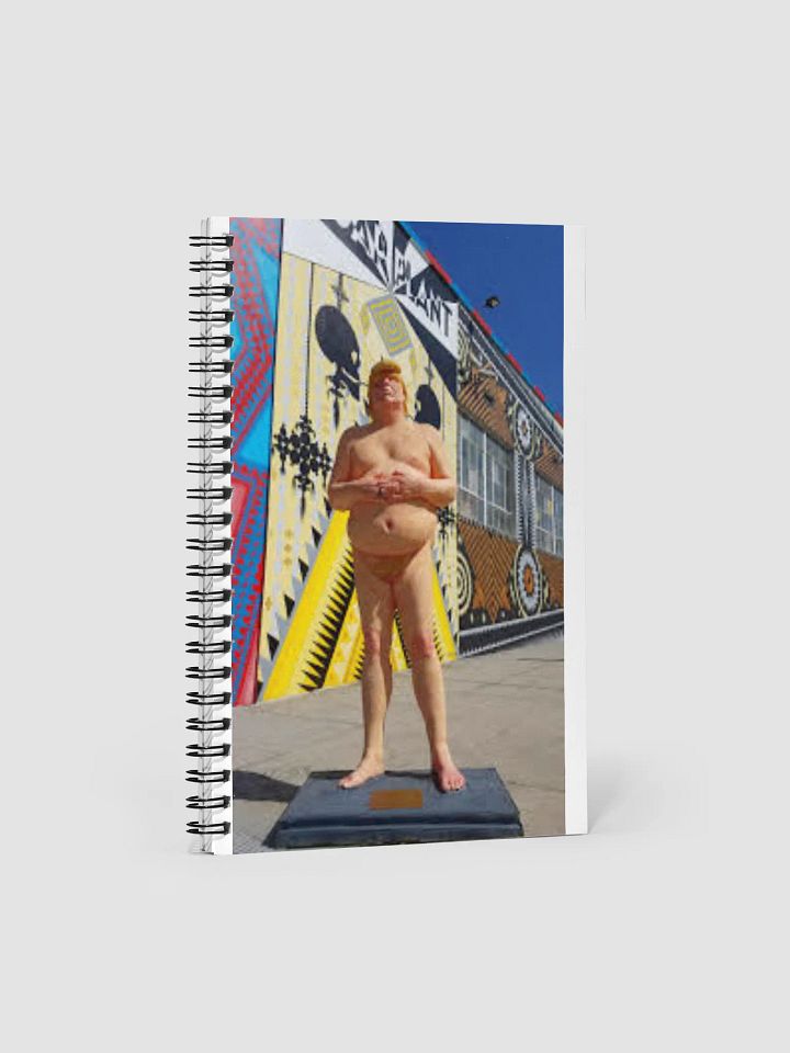 DONALD TRUMP MAKE AMERICA GREAT AGAIN product image (1)