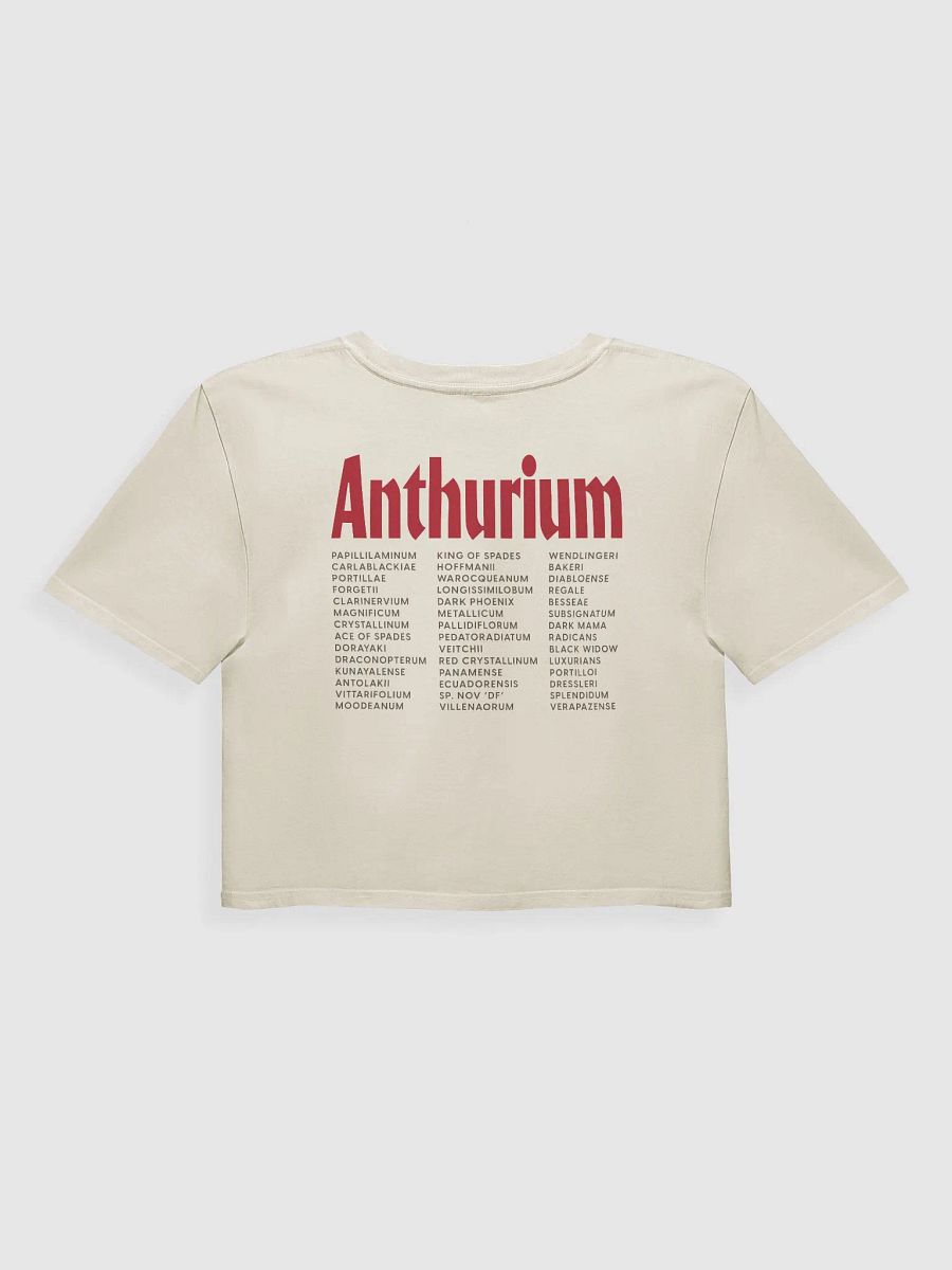 ⚡️ ANTHURIUM WORLD TOUR ⚡️ crop top product image (3)