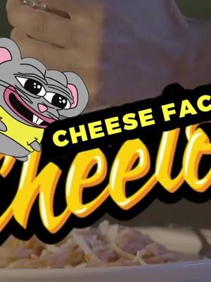 @Mousey MCcheese do you prefer cheese puffs or Cheetos?! Follow for more cheese facts! 🧀🐭 #cheese #cheeselover #cheesefacts #interestingfacts #snack #foodfacts #crunchy #cheetos #chestercheetah #cheetoschallenge #fyp #foryoupage #funny #meme #edit #mouse #ilovecheese 