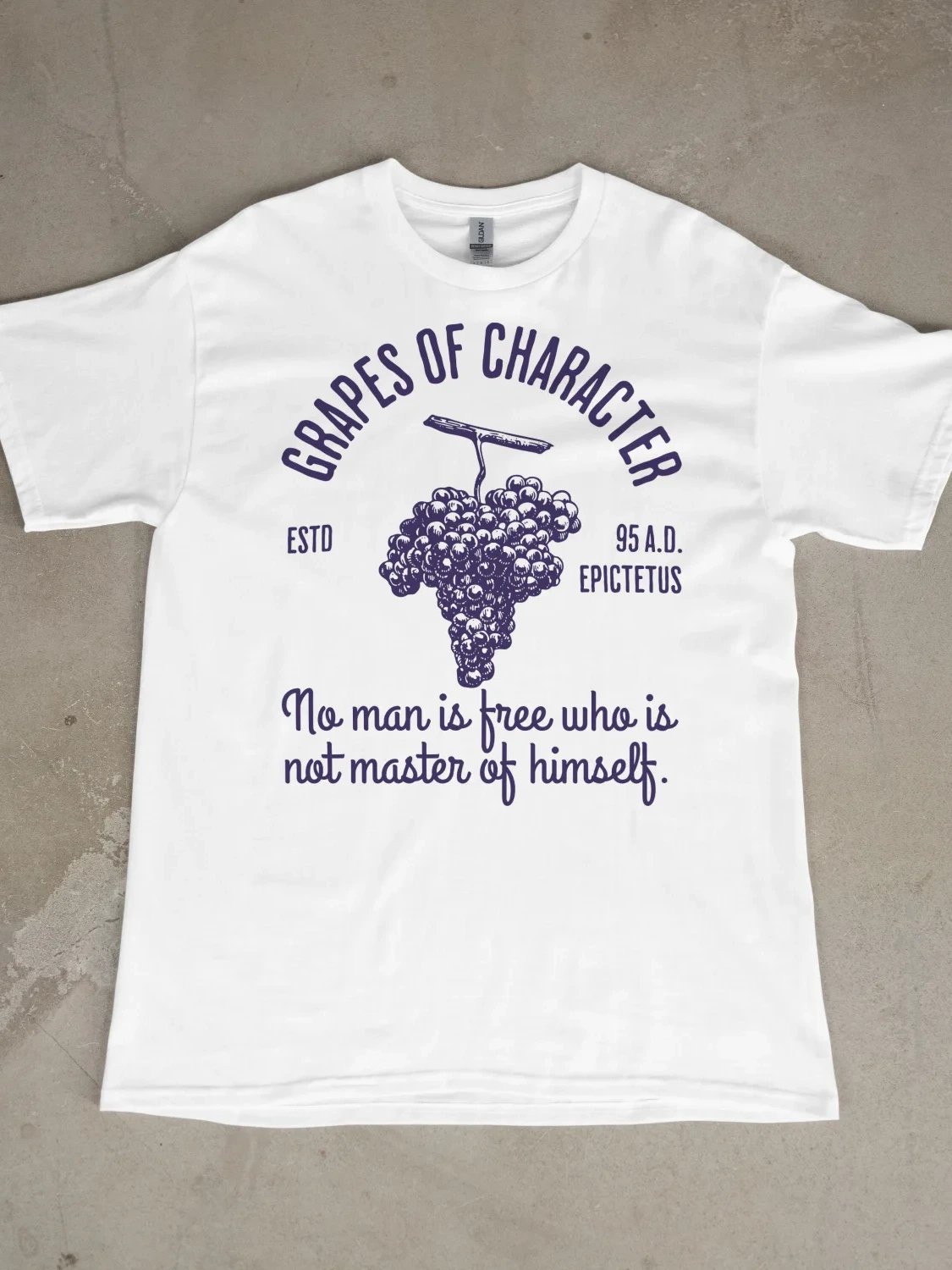 Stoic Grapes TSHIRT product image (1)