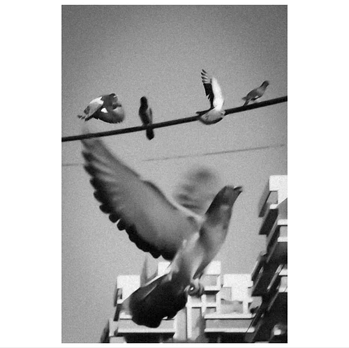 Ricoh GRiiix 📸 #bnwstreetphotography