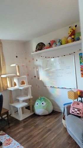 Look how my room is turning out!! 🌈😁

So proud of what me and my fiance have done in our new place 💕

#twitchaffiliate #twitc...