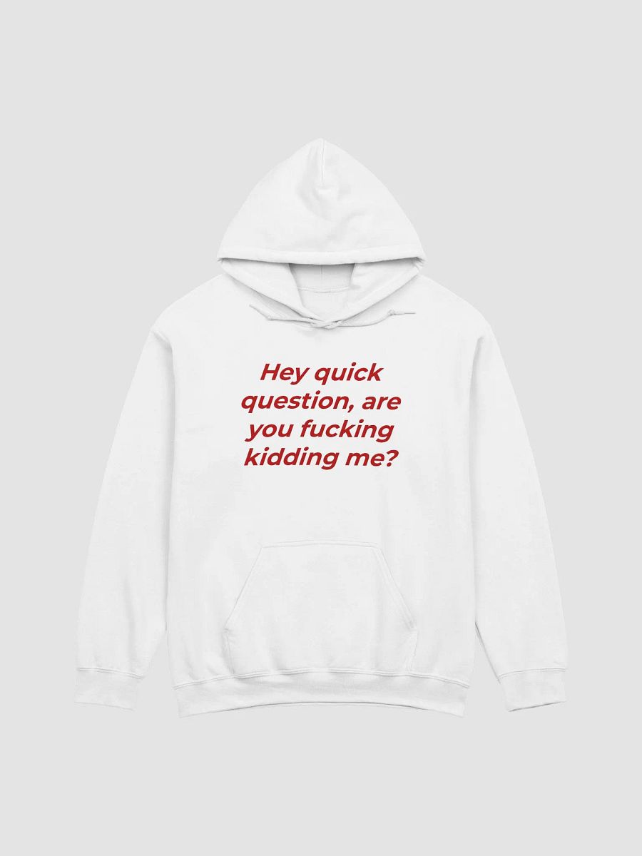 Hey Quick Question, Are You Fucking Kidding Me Hoodie product image (1)