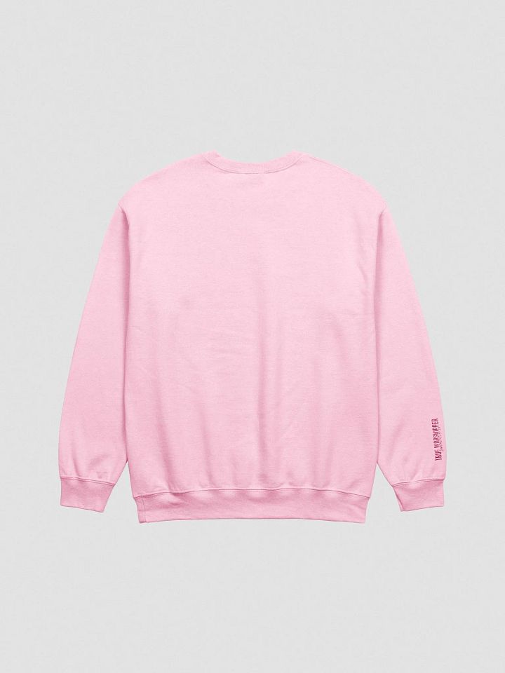 I'm the Crying Worshipper Embroidered Sweatshirt | Light Colors product image (2)