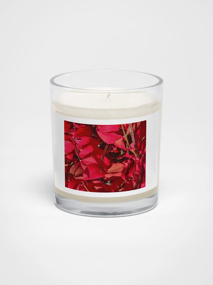 Crimson Canopy Soy Wax Candle product image (1)