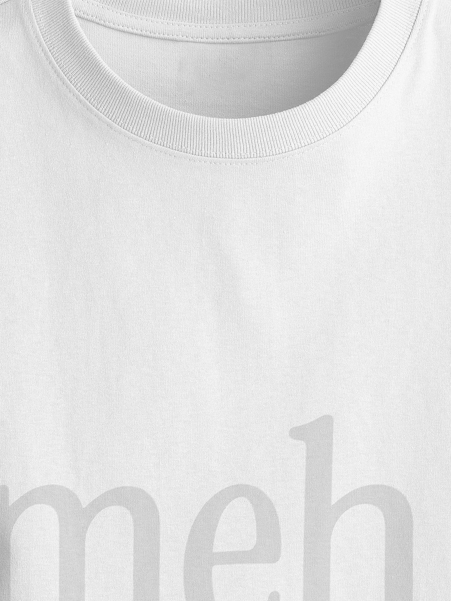 Big Meh. - A Premium Relaxed Fit DTG Printed Tee product image (2)