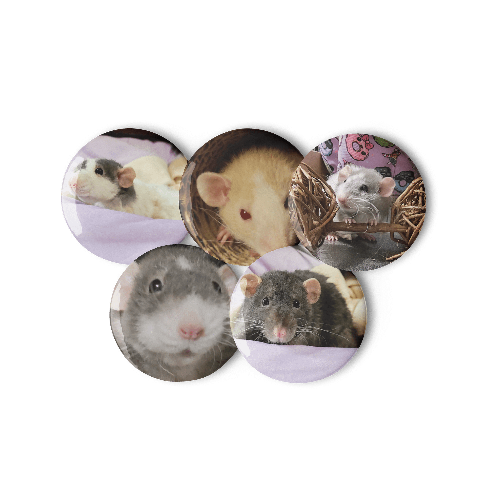 Rat Pictures || Set of Pin Buttons product image (2)