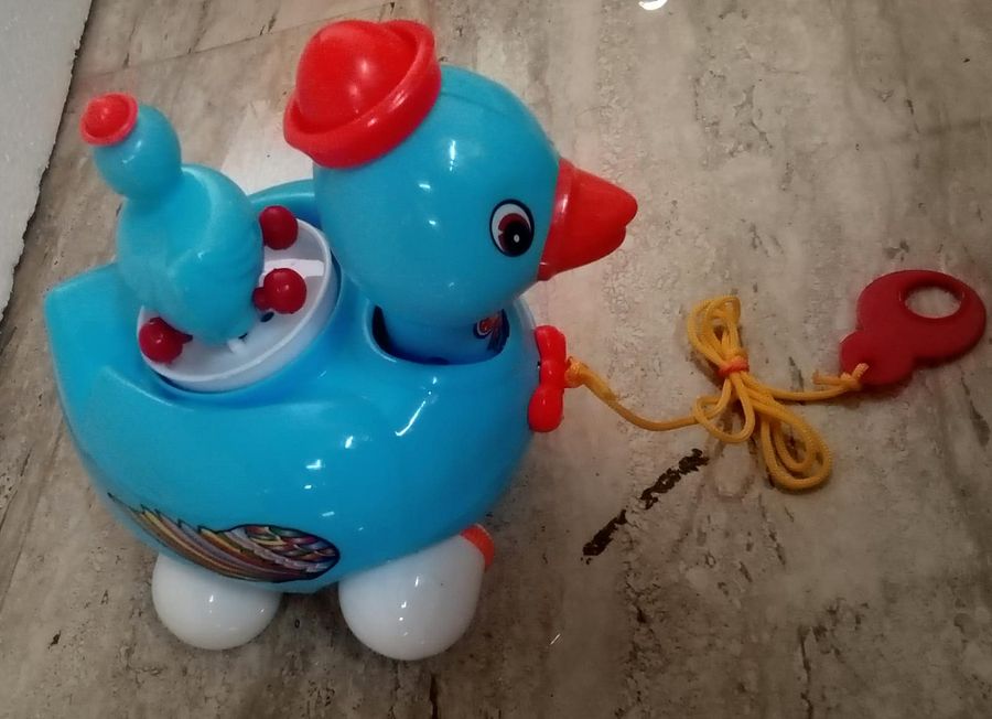 ACTION DUCK TOY product image (2)