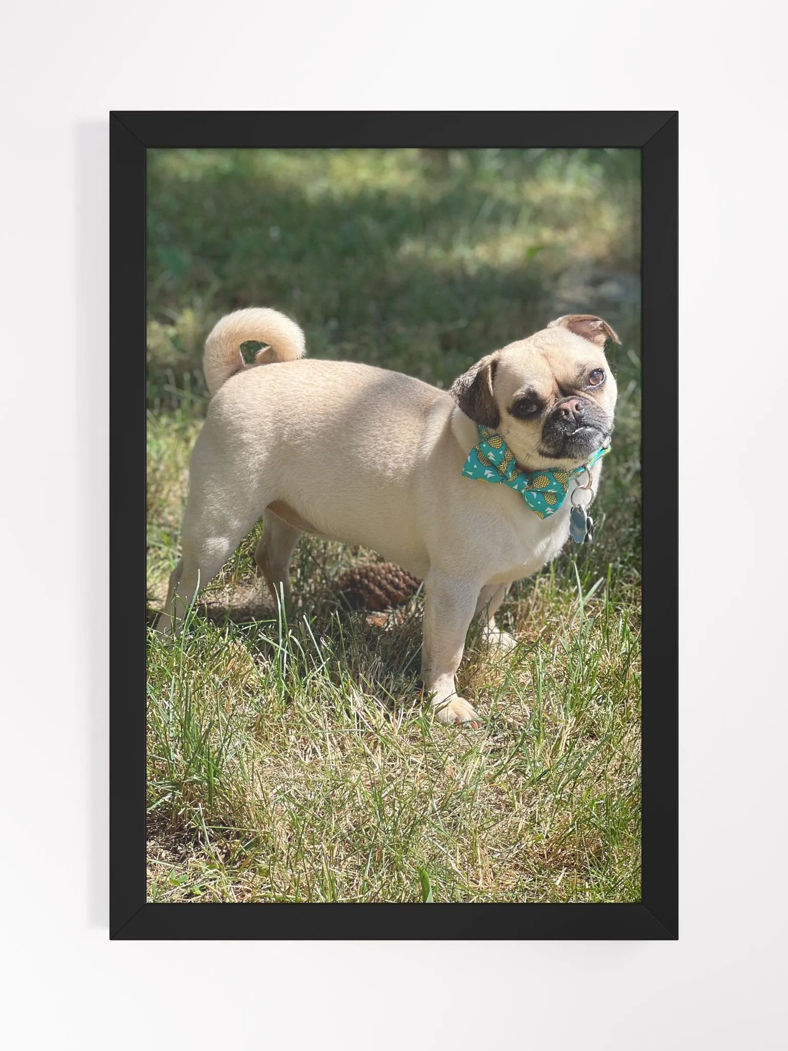 Crash Poster product image (1)