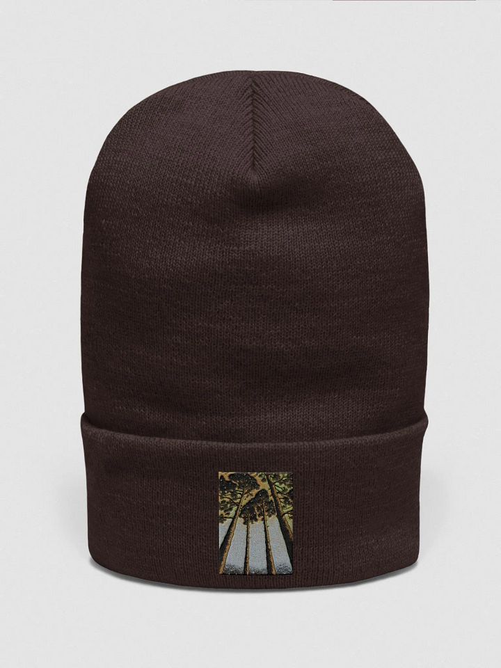 Skyward Bound Beanie product image (1)
