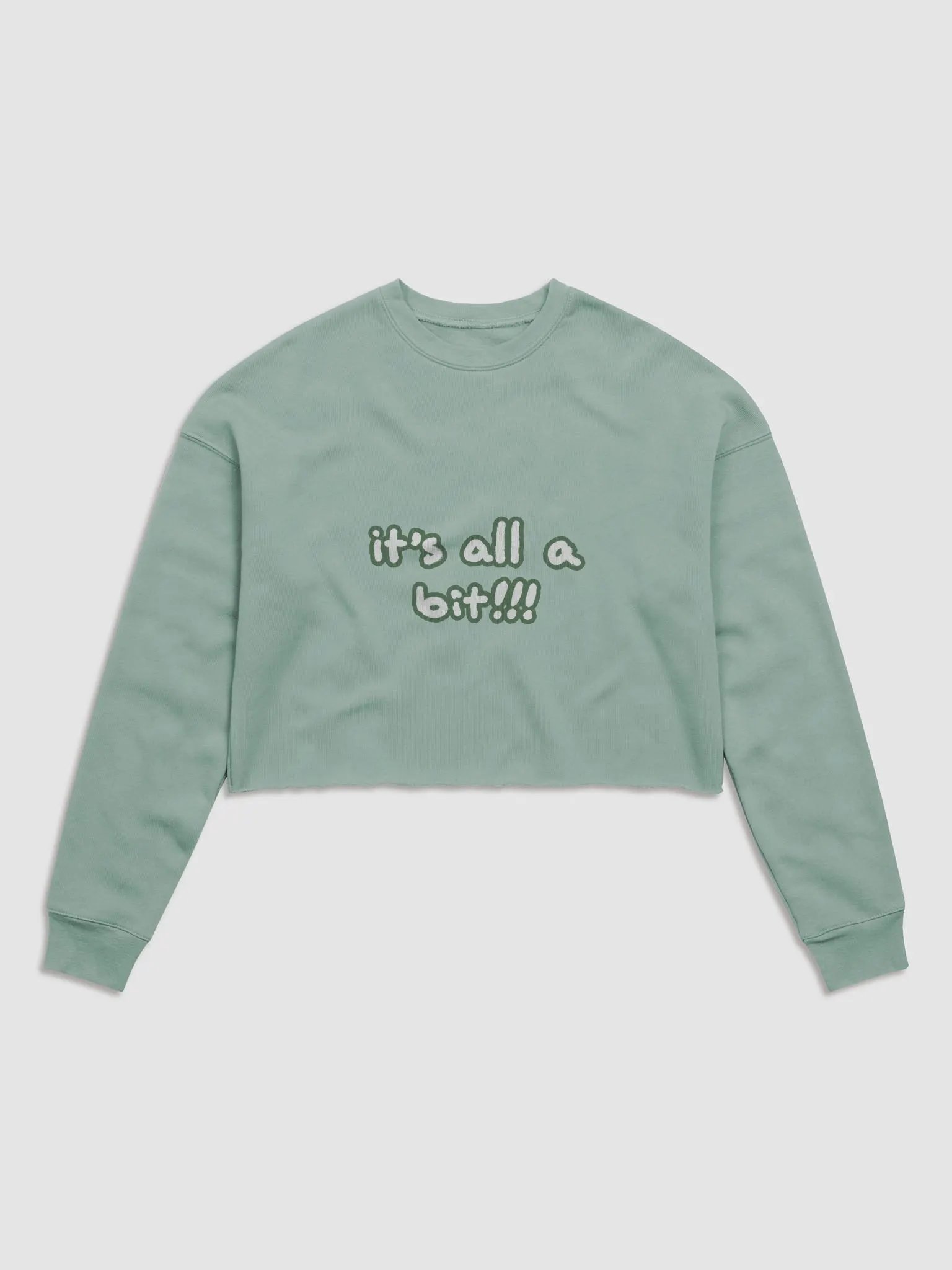 “It’s all a bit!!!” (sm. lined design, #527453) Women's Fleece Crop Sweatshirt product image (10)