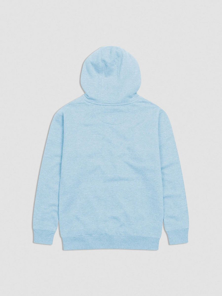 Looking For Ghosts (Haunted Hoodie) product image (2)