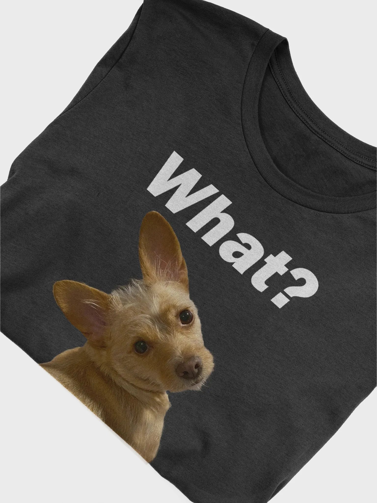 Say What? product image (47)