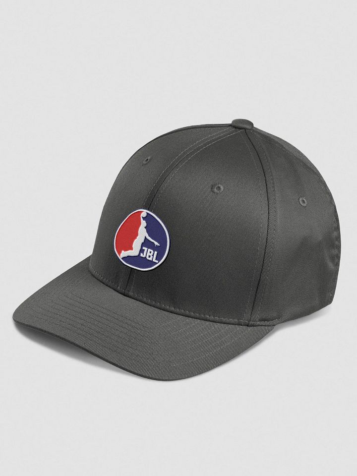 JBL Hat (Gray) product image (2)