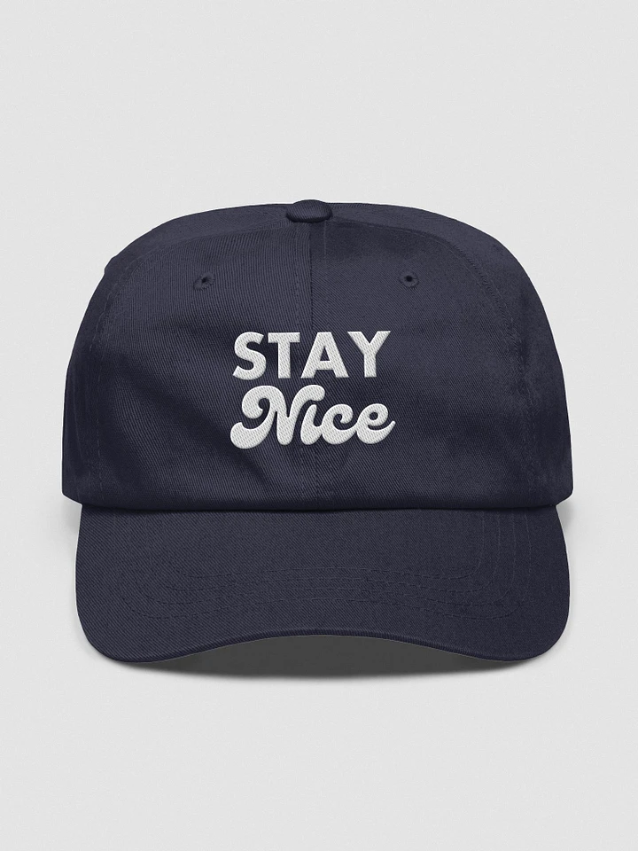 Stay Nice Hat product image (10)