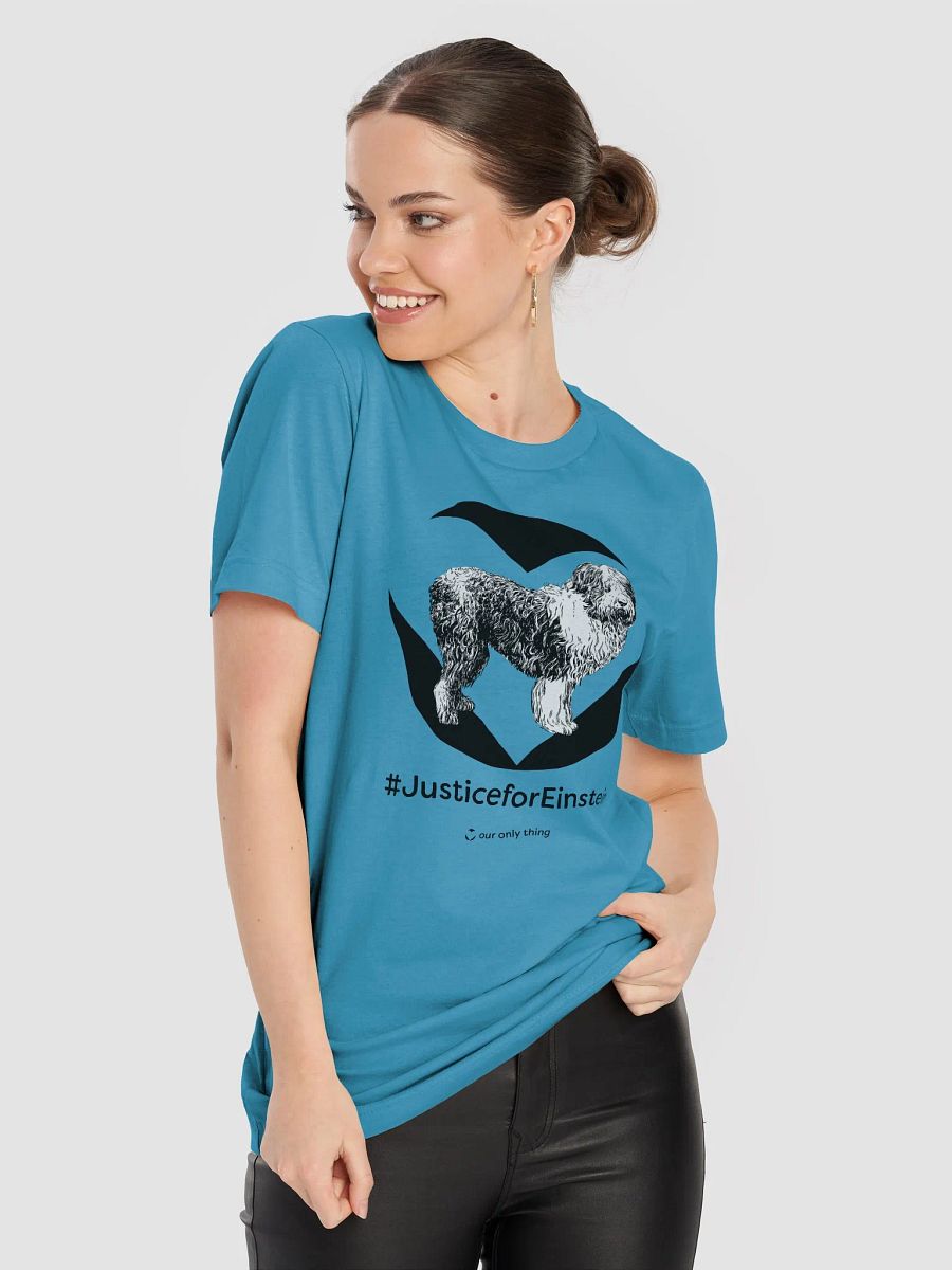 Premium #JusticeforEinstein Unisex Supersoft T-shirt product image (48)