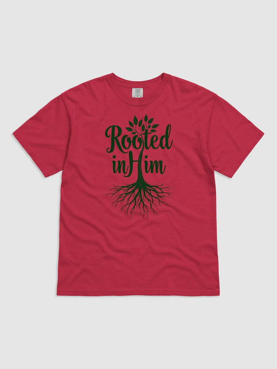 Rooted in Him Graphic T-Shirt product image (1)
