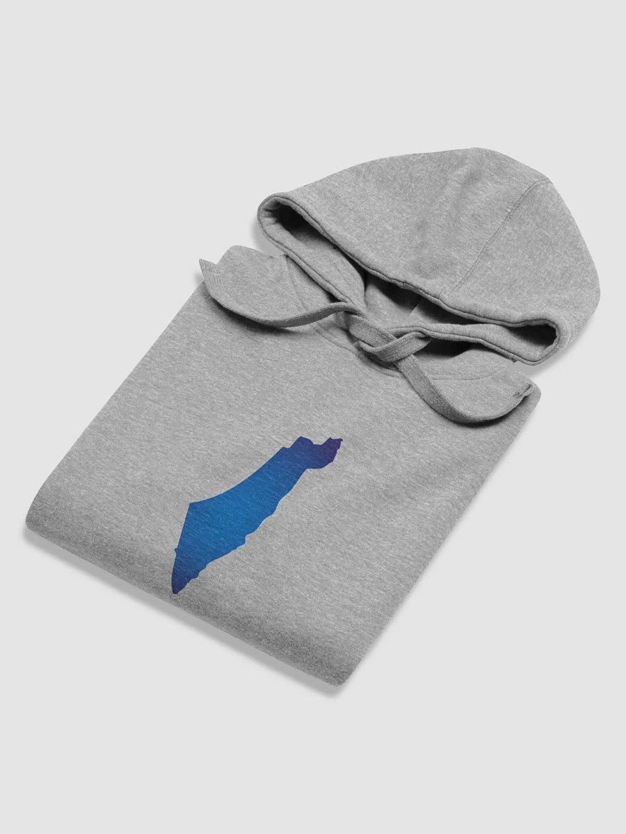 AM YISRAEL CHAI Premium Hoodie product image (28)