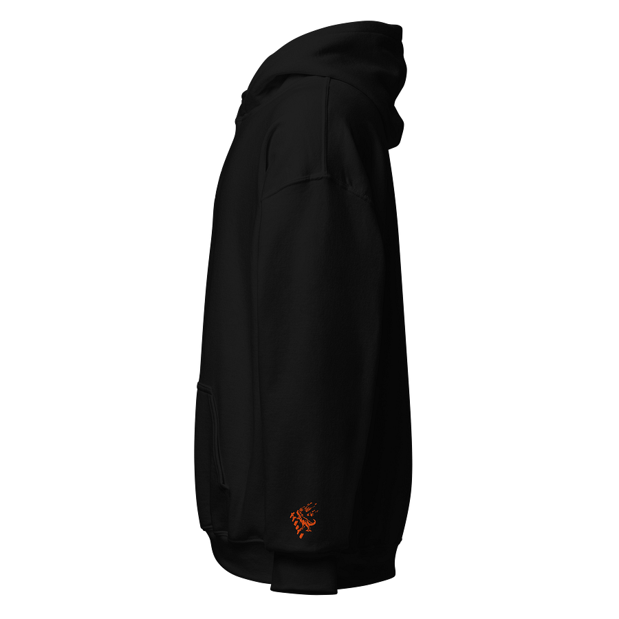 just bc hoodie product image (3)