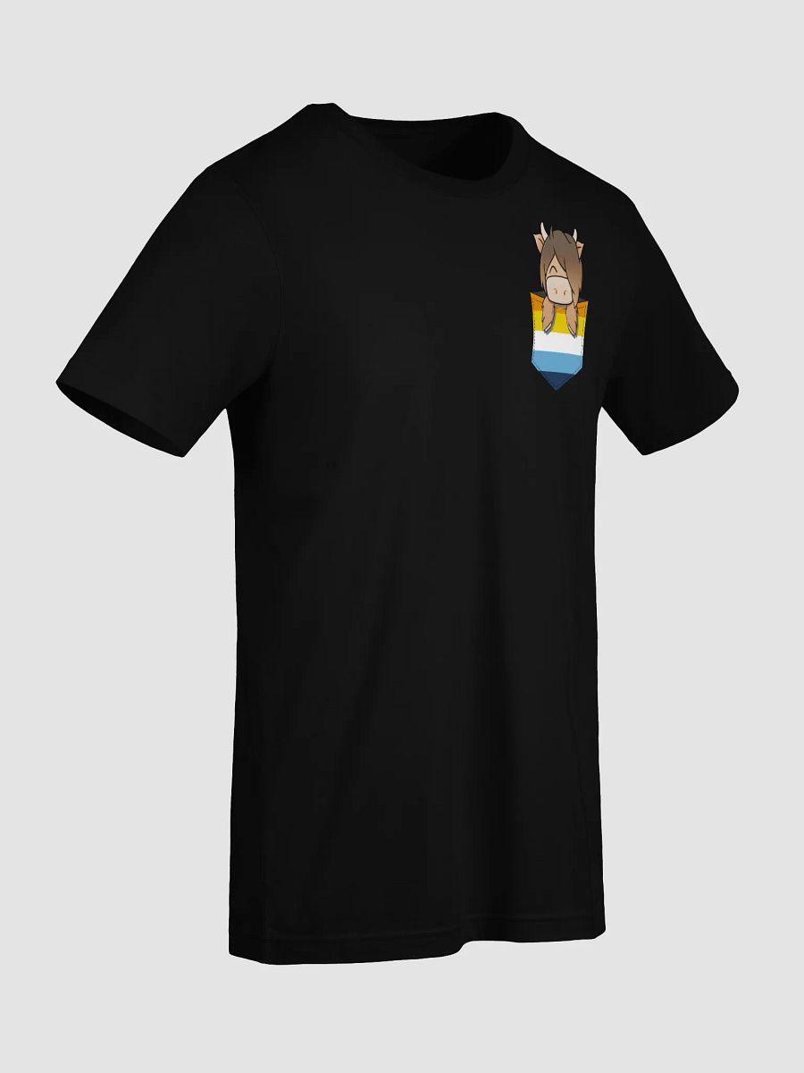 AroAce Pocket Hamish Pride product image (65)