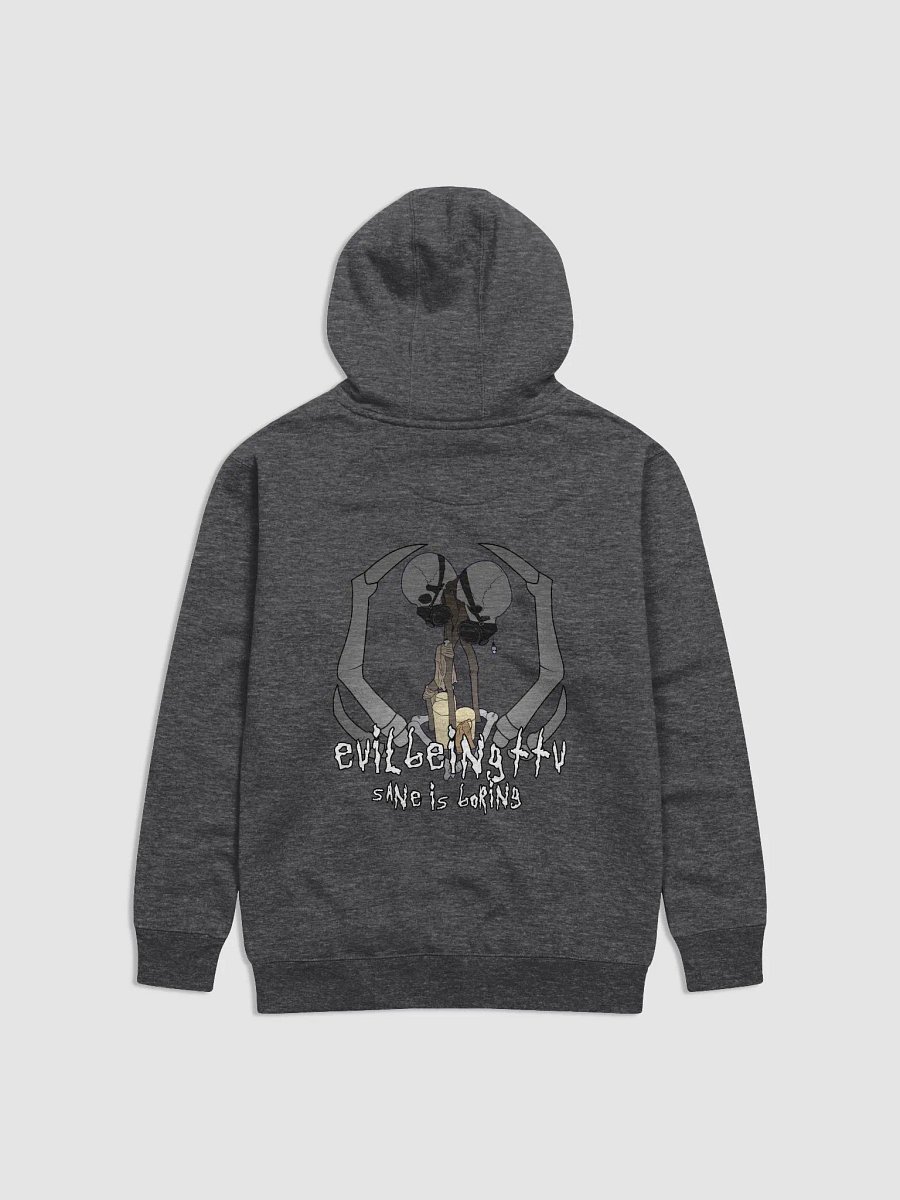 Nefarious Hoodie product image (14)