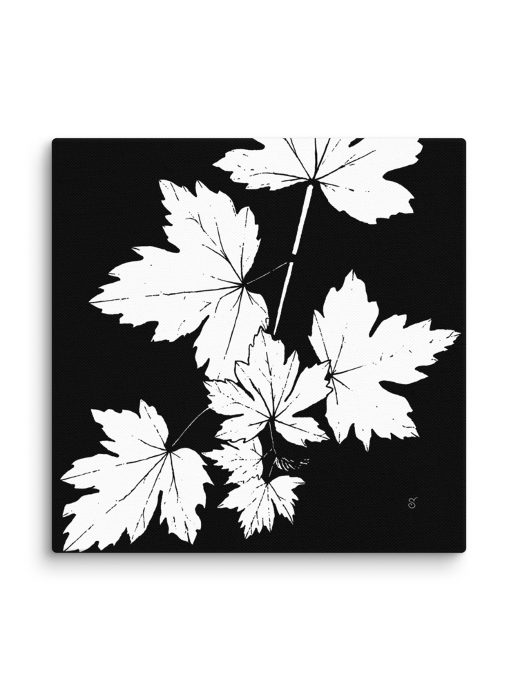 Leafy Silhouette Canvas Print - Grape Leaves Dark product image (2)