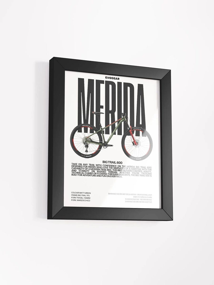 Merida Big Trail 600 Frame product image (10)