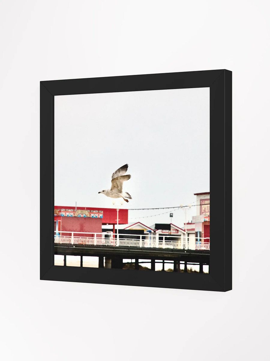 Young Gull Flying over a Fun Fair Framed Print product image (23)
