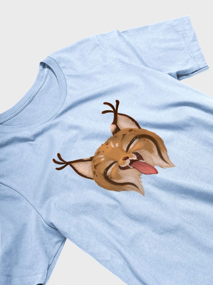 Bella+Canvas Supersoft LICK T-Shirt product image (27)