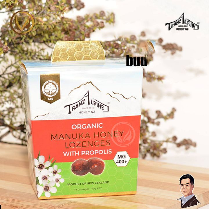 Kẹo ngậm giảm ho, đau rát họng MG400+ Organic Manuka Honey Lozenges 6 viên product image (2)