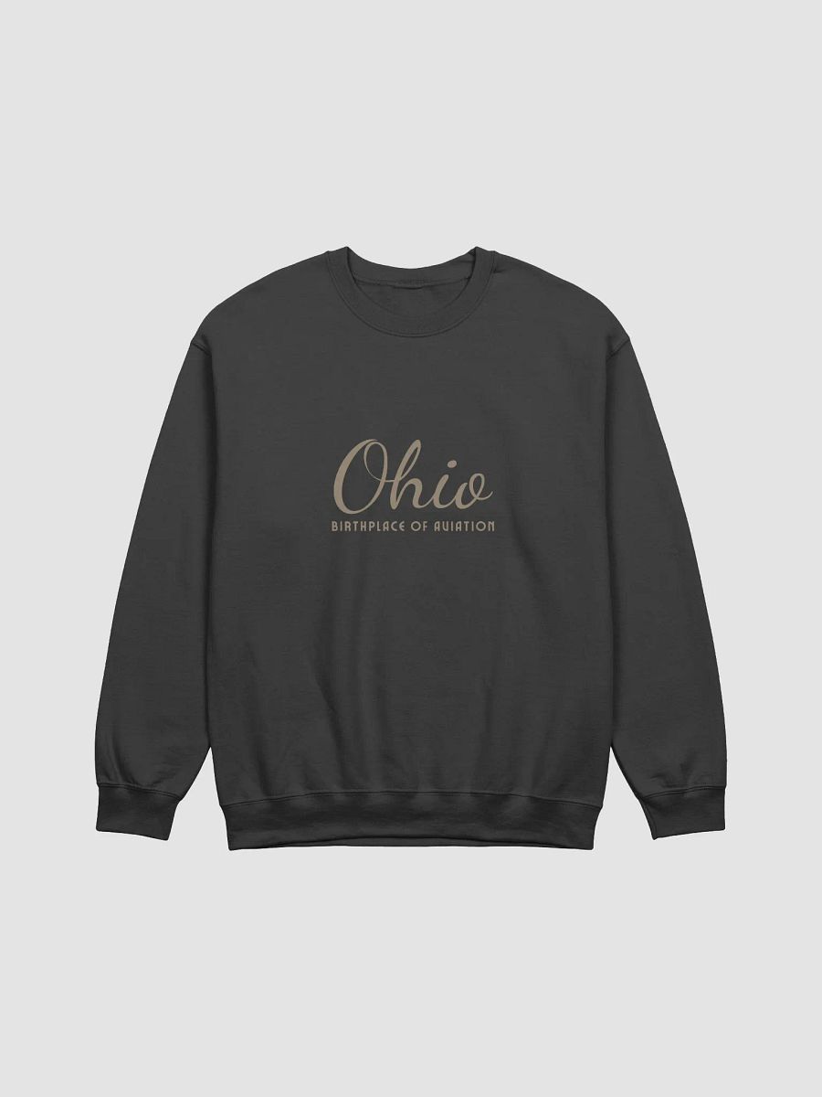 ohio birthplace hoodie product image (2)