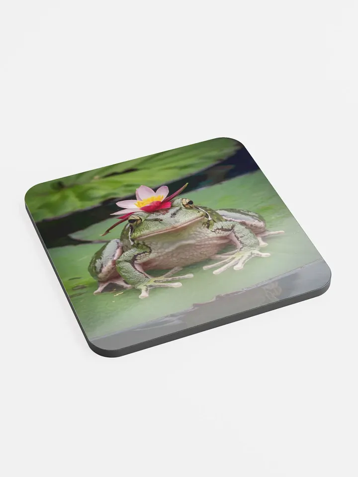 Frog Coaster product image (2)