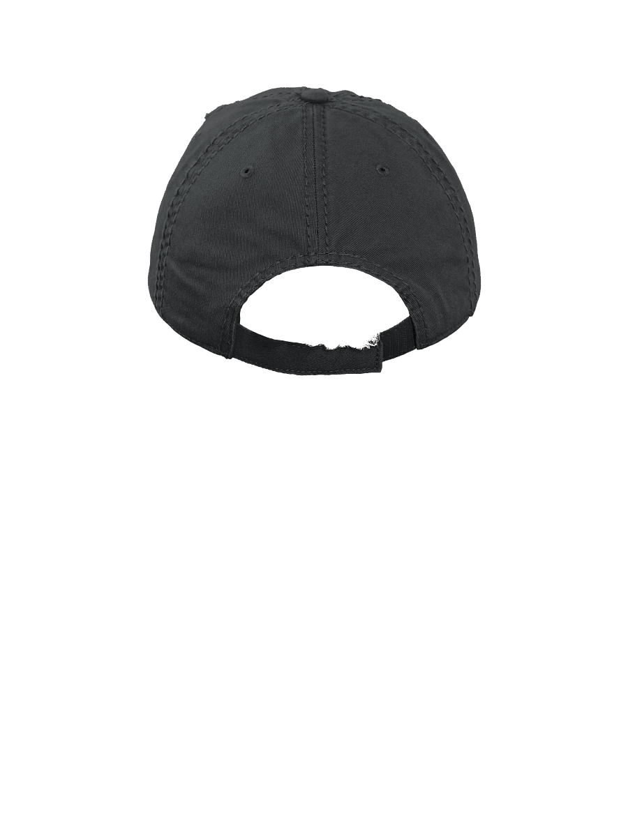Distressed Dad Hat product image (6)