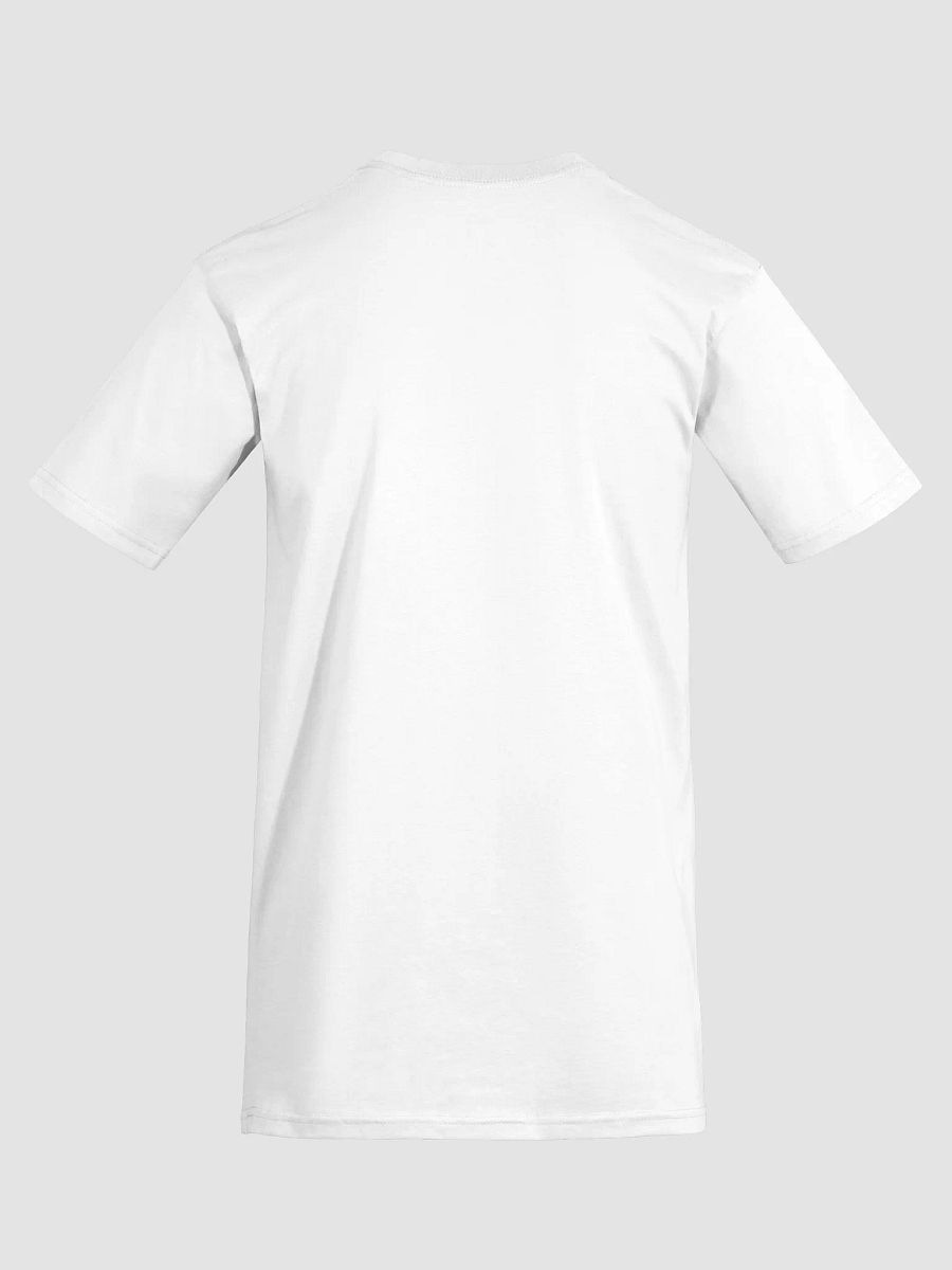 Cotton Heritage Men's Premium Heavyweight Tee: product image (27)