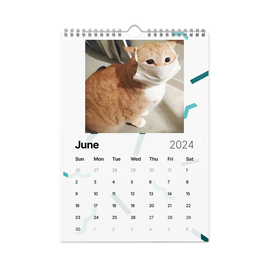 Wall Calendar (2024): Meme Cats product image (12)