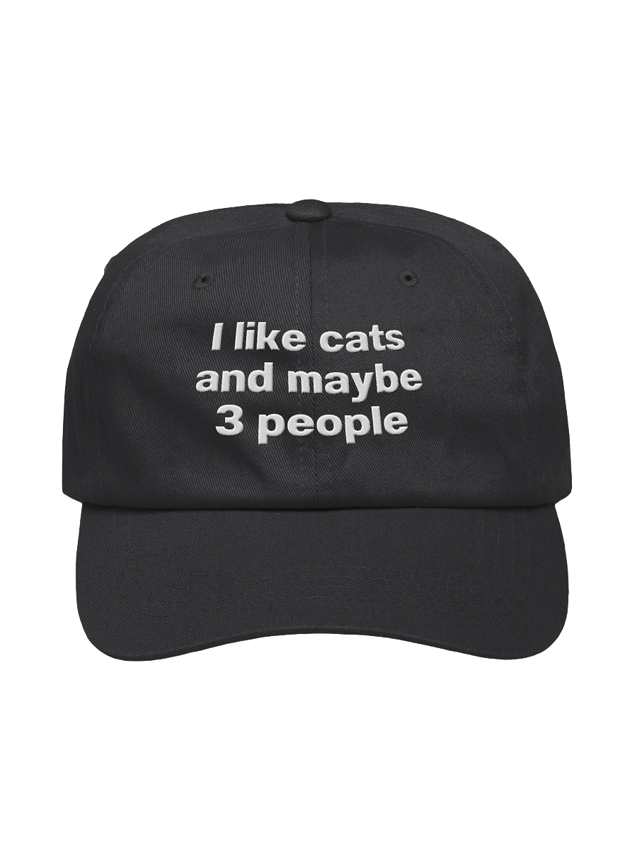 I like cats and maybe 3 people Embroidered Hat product image (5)