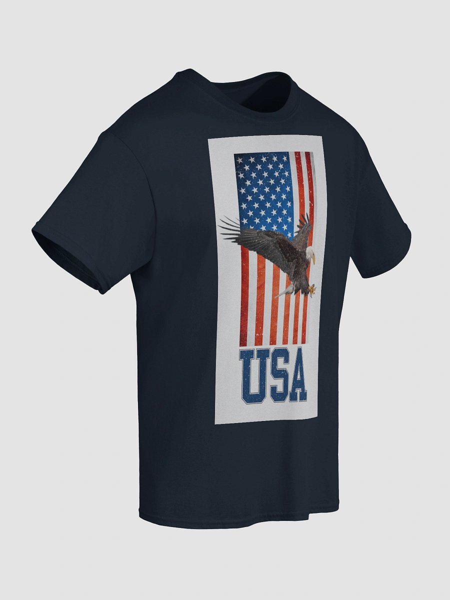 USA Eagle Patriot T-shirt product image (38)