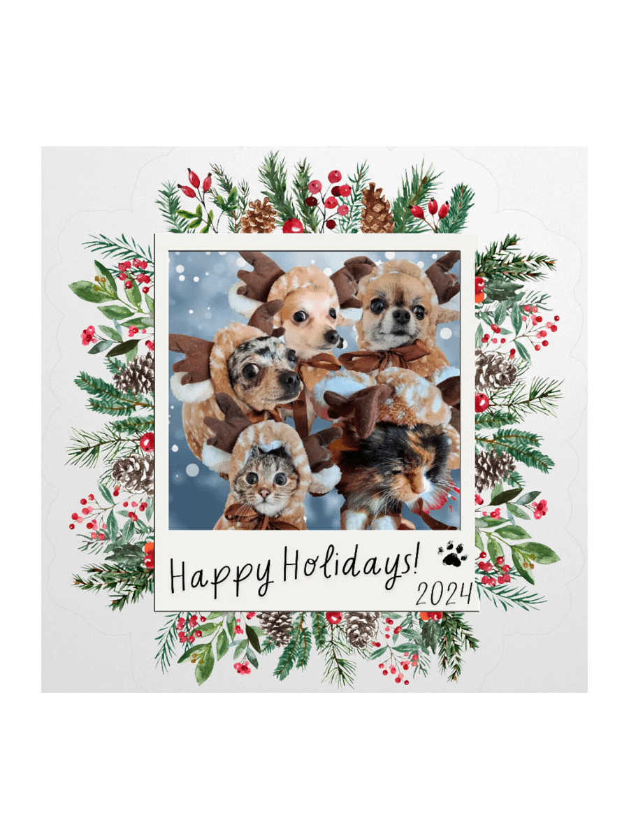 LIMITED EDITION Sticker - Paws [Holidays 2024] product image (1)