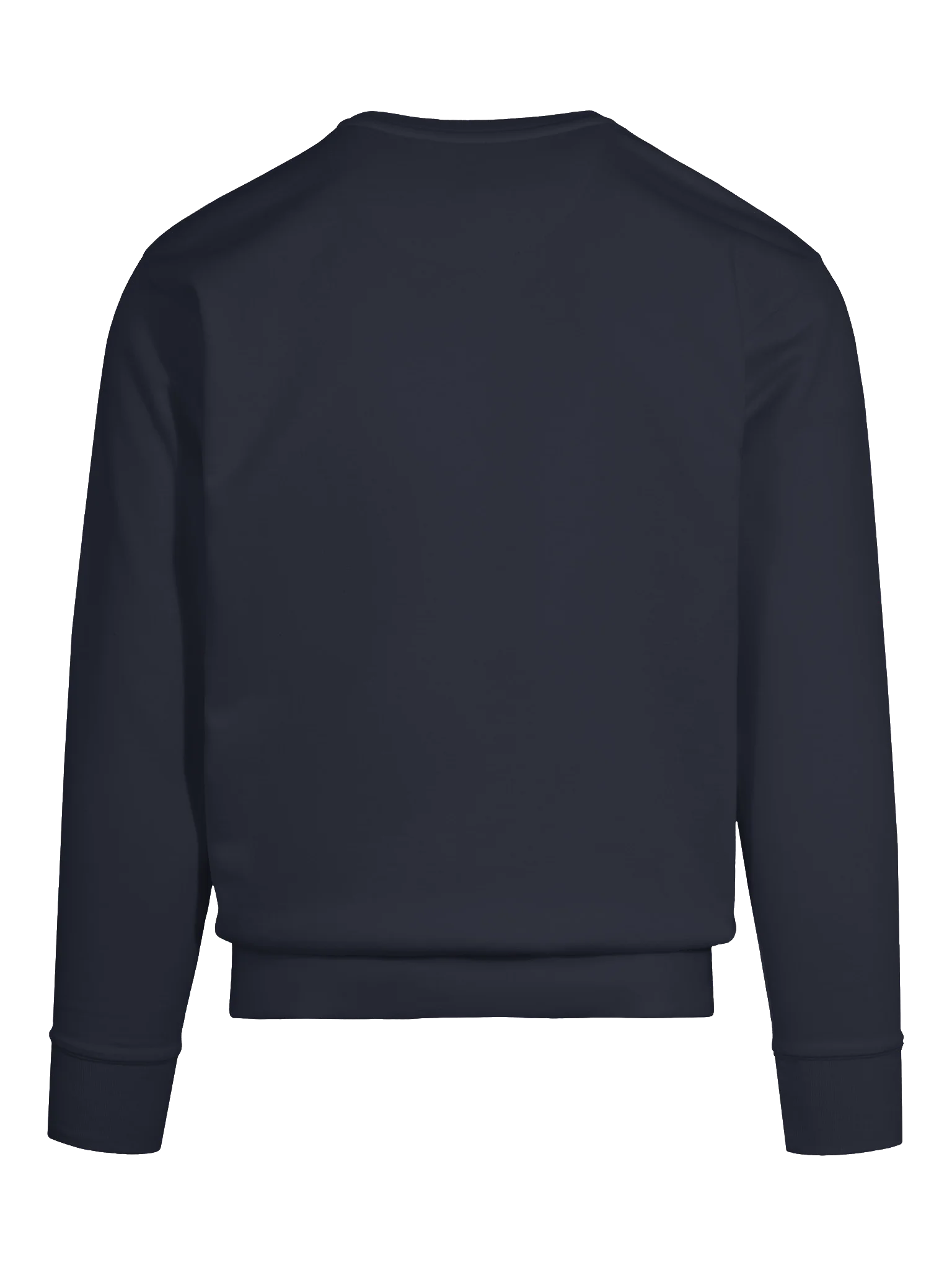 Gradient Wisdom Premium Sweatshirt product image (51)