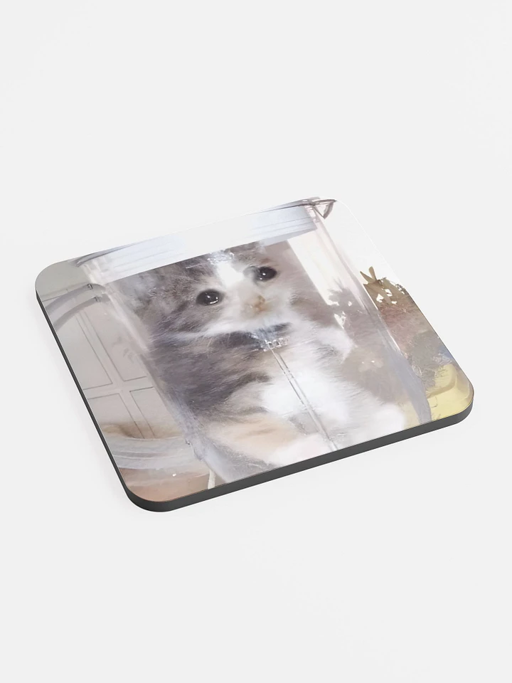 Glossed Cork Coaster: Meme Cats product image (2)