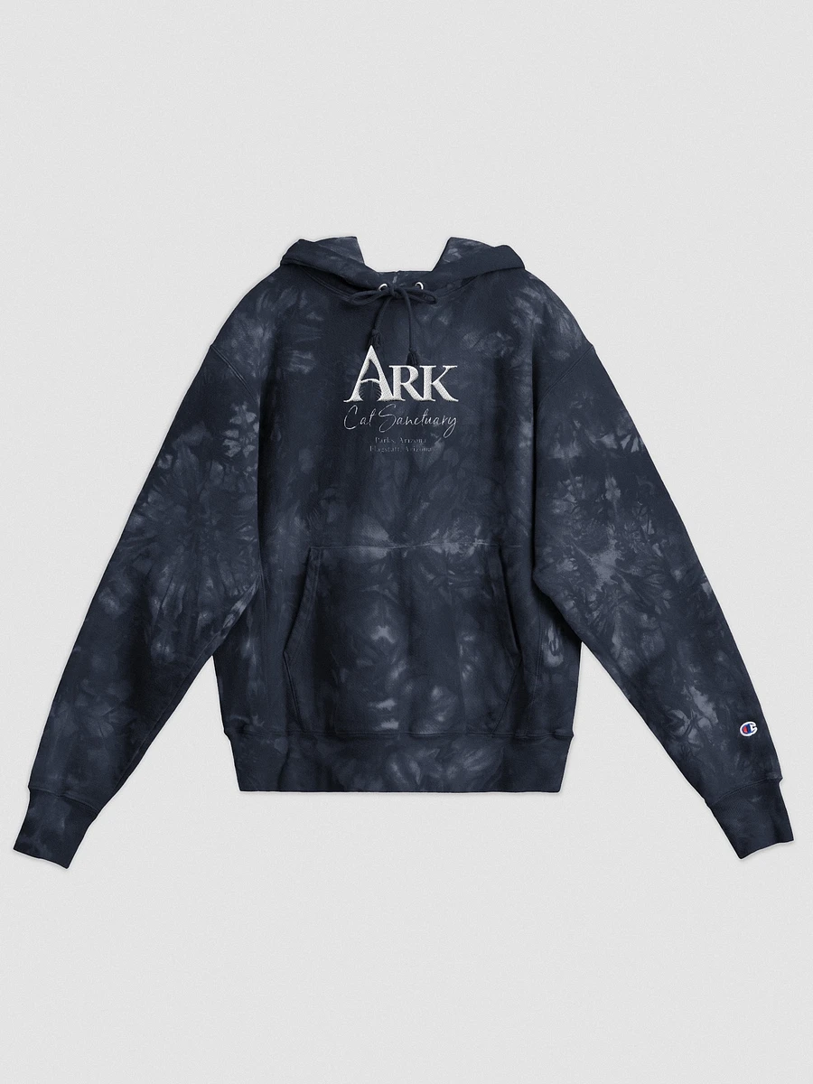 Ark Tie-Dye Champion Hoodie product image (1)